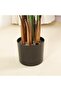 TBSITNS Artificial Areca Palm Tree (120 cm) - 6