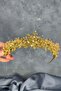 Honey Color Bead Embroidered Duru Bridal Henna Crown - 7