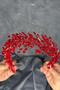 Red Hera Crystal Beaded Bridal Henna Crown Hair and Turban Accessory - 4