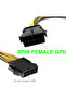 20cm 6PCS GPU VGA PCIe 8 Pin Female To Dual 2X 8 Pin (6+2) Male PCI Express Power Adapter Y-Splitter - 3