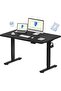 FlexiSpot Electric Standing Desk with Adjustable Height 120x75 - Charcoal Black
