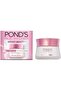 Bright Beauty Anti-Spot Dark Mark Removal Day Cream SPF15 PA++ (100g)