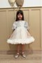 Silver Sequin Detailed Skirt Frilly Girls' Baby Girl Evening Dress