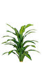 Green corn tree in a circular plastic container - 2