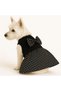 Small Breed Black Polka Dot Cat Dress Dog Dress (1 Kg-10 kg) - 3