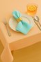 Luna Series Velvet Textured 2-Piece Guest Napkin - Turquoise