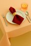 Luna Series Velvet Textured 2-Piece Guest Napkin - Claret Red