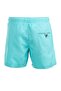 Mint Water Repellent Blue Voyage Embroidered Men's Beach Shorts Swimsuit - 303-Mint - 2
