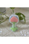 Fruit Teether with Peach Shaped Holder