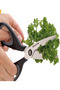 Cosmo Herb Shears 22 cm – Precise Cutting for Fresh Herbs - 2