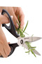 Cosmo Herb Shears 22 cm – Precise Cutting for Fresh Herbs - 3