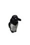penguen biblo - 3