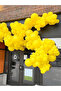 Pastel Yellow Balloon Birthday Party Decoration Balloon - 3