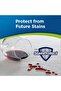 Bissell Heavy Traffic Foam + Protection - 5