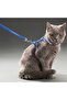 Cat Collars - 5