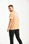 Stone Regular Fit Printed 100% Cotton T-Shirt - 3