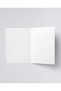 Greeting Card - Ox - 4