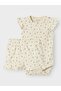Nbfjannis capsl body set - 5