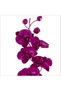 Artificial Orchid Pink 73 Cm - 2