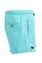 Mint Water Repellent Blue Voyage Embroidered Men's Beach Shorts Swimsuit - 303-Mint - 3