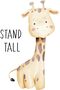 6 Pack Baby Jungle Nursery Wall Decor Art Pictures