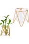 Glass Vase with Metal Stand - Gold Geometric Small Flower Vase