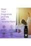 FLORA Address Aroma Oil for Scent Diffusers Aromatherapy 50ml | IFRA Certified | Smooth Blend - 5