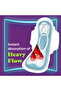 Aloe Cool Sanitary Pads | XL | 24 pcs | Heavy Flow - 4
