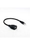 Compatible with MP3 and MP4 Player - Adapters - 2