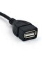 Compatible with MP3 and MP4 Player - Adapters - 3
