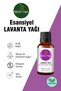Thyme Oil - Lavender Aromatic Oil Set - Essential Oil 2X 20 ml - 3