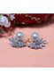 Zircon Stone Leaf Motif Pearl Detail Vip Steel Earrings