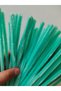 100 Pieces Mint Green Chenille, Feathered Wire Suitable for Flower Making, 30 cm 6 mm - 2