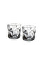 2-Piece Whiskey Glasses 260ml Glass
