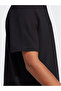 M SL PQ PS - 2