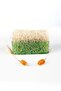 Natural Pumpkin Fiber Aloe Vera Soap 130 gr