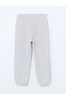 Lcw Kids Gray Elastic Waist Boys Cargo Sweatpants - 3