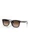 Rayban Rb 4461D 710/13 64