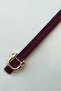 Dino Gold Buckle Women's Belt - 2