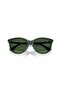 Be4455 416271 55 Women's Sunglasses - 5