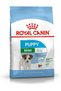 Shn Size Health Nutrition Mini Puppy 2Kg Dog Dry Food