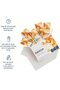 Calcium Magnesium Complex | Bone & Muscle Support Drink Mix - 4