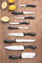 Affilata 3 Inches Vegetable and Fruit Knife with Stainless Steel Blade and Black Polyprop - 6