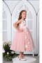 Flower Girls Dress Pink 3171