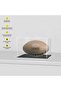 Acrylic Display Case for Full Size Football, Clear Dust-Proof Case with Matte Black Stand - 3