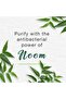 Purifying Neem Foaming Face Wash – 150 g | Gentle Foam Cleanser for Acne & Oil Control - 2