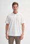 Polo Neck Regular Fit Knitted Line Textured T-Shirt - 2