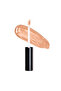 Complete Coverage Concealer - 2