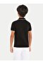 Boys Polos - 2