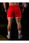 New Season Premium Honeycomb Fabric Sports Gym Training Shorts - 3